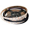 Taśma LED RGBW Neural White (neutralny biały) 5050 60D/m 12V 5m
