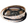 Taśma LED RGBW Cold White (zimny biały) 5050 60D/m 12V 5m