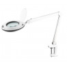 Lampa warsztatowa Rebel 5D 10W
