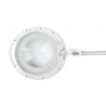 Lampa warsztatowa Rebel 5D 10W