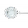 Lampa stołowa z lupą Rebel 5D LED