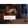 BleBox openSensor - brązowy - czujnik otwarcia okna drzwi bramy WiFi