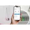 BleBox switchBoxD DIN - inteligentny przekaźnik WiFi 2-kanałowy