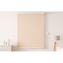 Sonoff MINI-ZBRBS - sterownik rolet Zigbee 3.0 smart home i Home Assistant