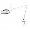 Lampa warsztatowa Rebel 5D 10W
