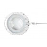 Lampa warsztatowa Rebel 5D 10W