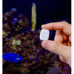 The Pill by Shelly - kompaktowy moduł Wi-Fi i Bluetooth USB-C