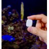 The Pill by Shelly - kompaktowy moduł Wi-Fi i Bluetooth USB-C