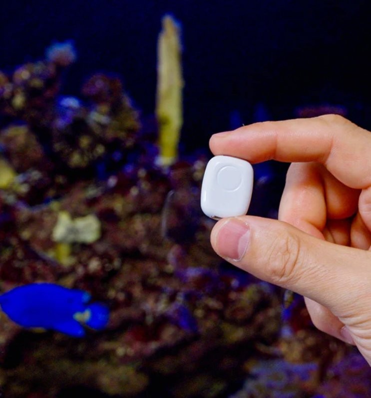 Shelly The Pill czujnik temperatury i wilgotności Shelly The Pill - kompaktowy moduł WiFi BT USB-C do automatyzacji systemów niskonapięciowych