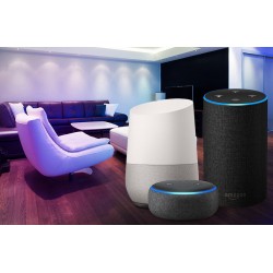 BleBox wLightBoxS v2 sterownik LED MONO WiFi 1224 V DC z aplikacją wBox Alexa Google Home
