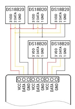 Schemat elektryczny zestawu Shelly 1 Gen3 do pomiaru temperatury WiFi z sensorami DS18B20