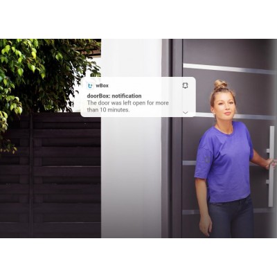 BleBox doorBox PRO sterownik Wi-Fi do drzwi i furtek 12-24V ACDC IP54